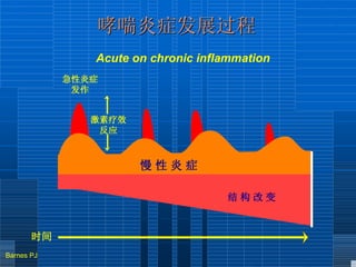 Acute on chronic inflammation 慢 性 炎 症 结 构 改 变 急性炎症 发作 激素疗效 反应 时间 哮喘炎症发展过程 Barnes PJ 
