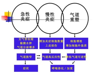 增加炎症细胞数量 上皮损伤 支气管收缩 黏膜水肿 气道分泌增多 气道狭窄 气道高反应性 降低气道可逆性 症状 哮喘恶化 / 加重 细胞增殖 增加细胞外基质 急性 炎症 慢性 炎症 气道 重塑 