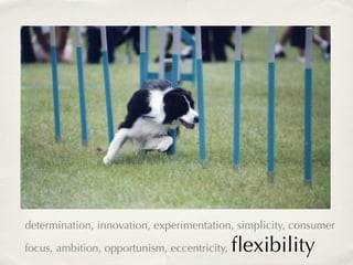 determination, innovation, experimentation, simplicity, consumer

focus, ambition, opportunism, eccentricity,   ﬂexibility
 