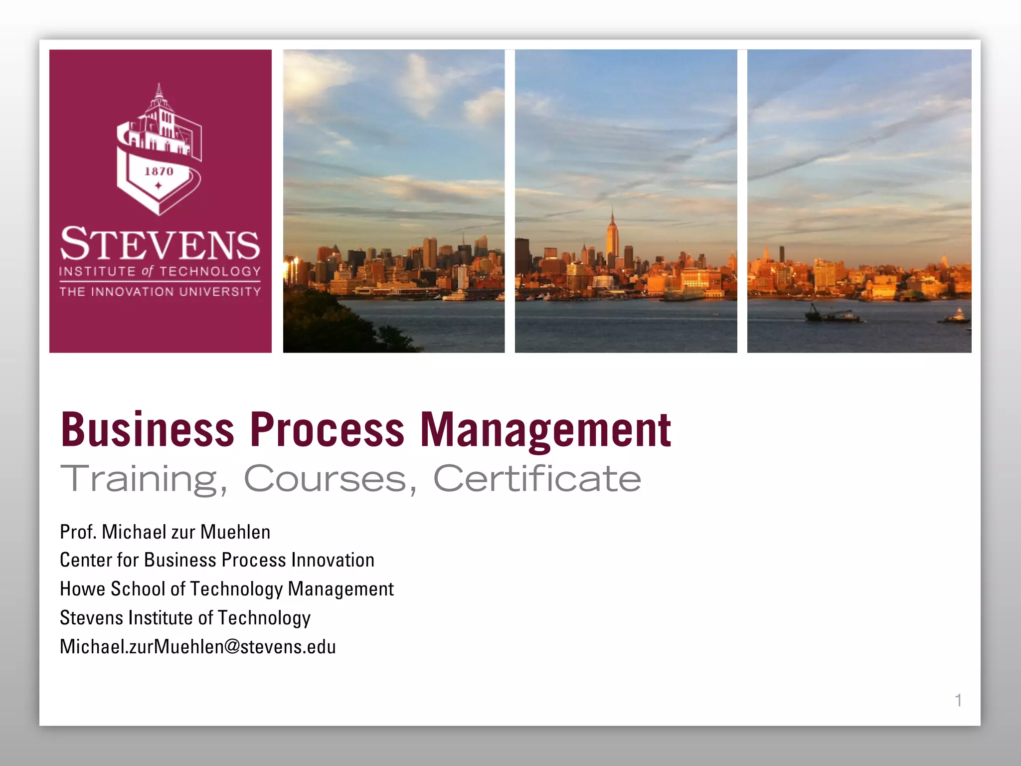 BPM Courses and Certificates by Stevens Institute of Technology PDF