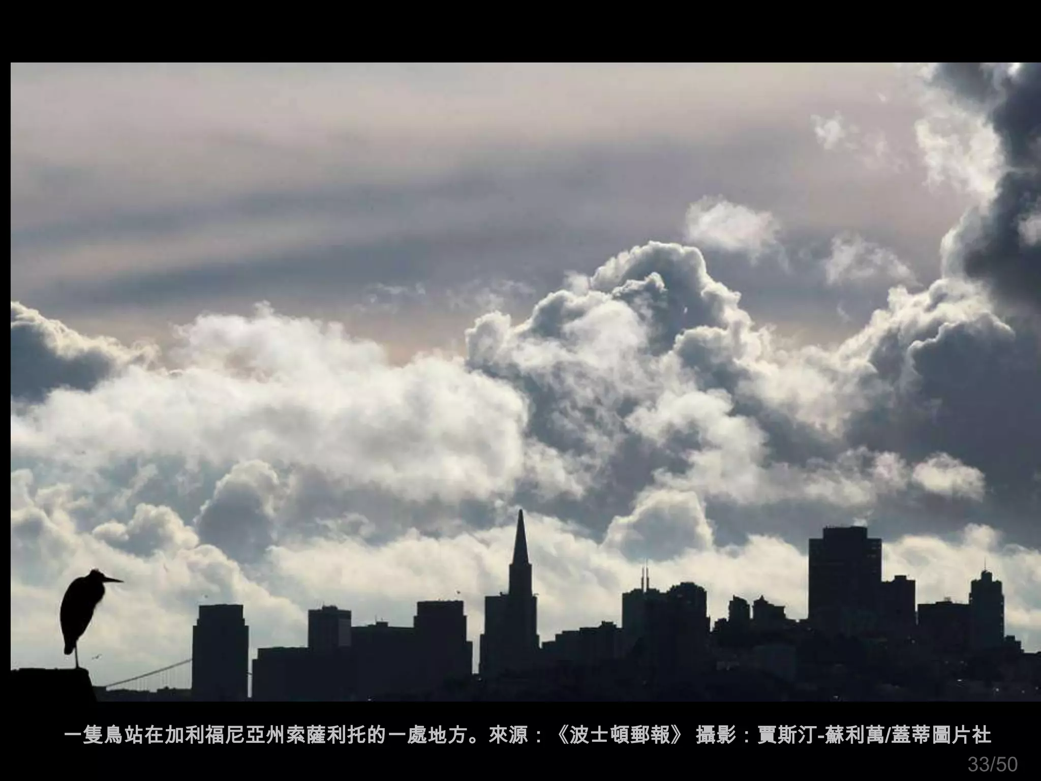 一隻鳥站在加利福尼亞州索薩利托的一處地方。來源：《波士頓郵報》 攝影：賈斯汀-蘇利萬/蓋蒂圖片社
                                               33/50
 