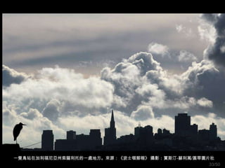 一隻鳥站在加利福尼亞州索薩利托的一處地方。來源：《波士頓郵報》 攝影：賈斯汀-蘇利萬/蓋蒂圖片社
                                               33/50
 