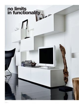 no limits
    in functionality




066 l
 