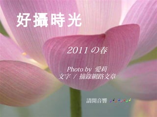 好攝時光
2011 の春
Photo by 愛莉
文字 / 摘錄網路文章

齊白石小傳

請開音響

 
