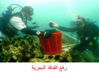 ‫سفغ اىقْبفز اىجحشخ‬

 