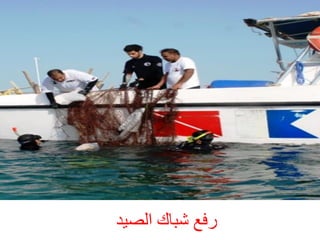 ‫سفغ شجبك اىصٞذ‬

 