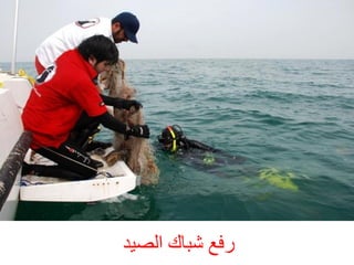 ‫سفغ شجبك اىصٞذ‬

 