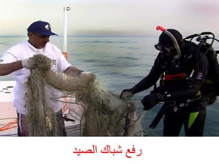 ‫سفغ شجبك اىصٞذ‬

 
