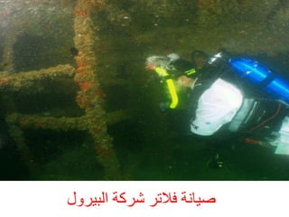 ‫صٞبّخ فالرش ششمخ اىجٞشٗ‬

 