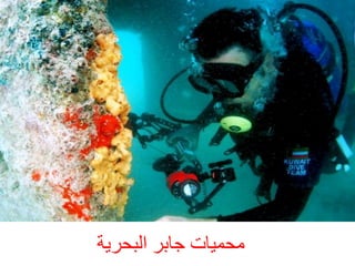 ‫ٍحَٞبد خبثش اىجحشخ‬

 