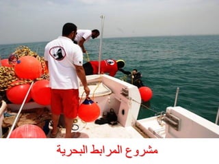 ‫ٍششٗع اىَشاثظ اىجحشخ‬

 