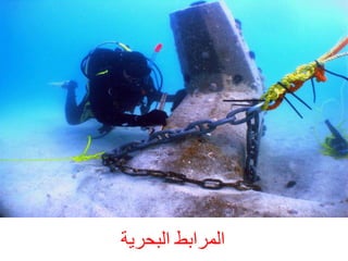 ‫اىَشاثظ اىجحشخ‬

 