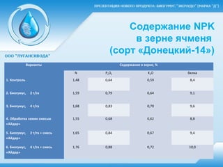 Содержание NPK
в зерне ячменя
(сорт «Донецкий-14»)
Варианты Содержание в зерне, %
N P2O5 K2O белка
1. Контроль 1,48 0,64 0,59 8,4
2. Биогумус, 2 т/га 1,59 0,79 0,64 9,1
3. Биогумус, 4 т/га 1,68 0,83 0,70 9,6
4. Обработка семян смесью
«Айдар»
1,55 0,68 0,62 8,8
5. Биогумус, 2 т/га + смесь
«Айдар»
1,65 0,84 0,67 9,4
6. Биогумус, 4 т/га + смесь
«Айдар»
1,76 0,88 0,72 10,0
 