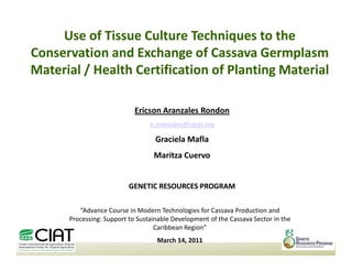 Use of Tissue Culture Techniques to theUse of Tissue Culture Techniques to the
Conservation and Exchange of CassavaConservation and Exchange of Cassava GermplasmGermplasm
Material / Health Certification of Planting MaterialMaterial / Health Certification of Planting Material
Ericson Aranzales Rondon
e.aranzales@cgiar.org
Graciela MaflaGraciela Mafla
Maritza Cuervo
GENETIC RESOURCES PROGRAMGENETIC RESOURCES PROGRAM
“Advance Course in Modern Technologies for Cassava Production and
Processing: Support to Sustainable Development of the Cassava Sector in the
Caribbean Region”
March 14, 2011
 