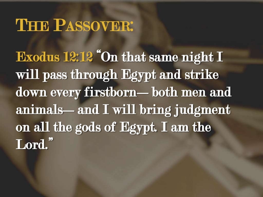 2011.2.6 whats wrong part 2