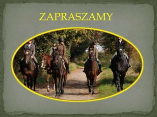 ZAPRASZAMY 
 