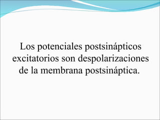 Los potenciales postsinápticos
excitatorios son despolarizaciones
 de la membrana postsináptica.
 