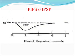 PIPS o IPSP
 
