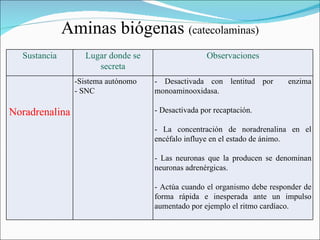 Aminas biógenas (catecolaminas)
  Sustancia       Lugar donde se                    Observaciones
                     secreta
                -Sistema autónomo   - Desactivada con lentitud por        enzima
                - SNC               monoaminooxidasa.

Noradrenalina                       - Desactivada por recaptación.

                                    - La concentración de noradrenalina en el
                                    encéfalo influye en el estado de ánimo.

                                    - Las neuronas que la producen se denominan
                                    neuronas adrenérgicas.

                                    - Actúa cuando el organismo debe responder de
                                    forma rápida e inesperada ante un impulso
                                    aumentado por ejemplo el ritmo cardíaco.
 