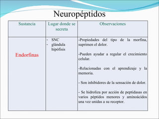 Neuropéptidos
 Sustancia   Lugar donde se                Observaciones
                secreta

             - SNC            -Propiedades del tipo de la morfina,
             - glándula       suprimen el dolor.
               hipófisis
Endorfinas                    -Pueden ayudar a regular el crecimiento
                              celular.

                              -Relacionadas con el aprendizaje y la
                              memoria.

                              - Son inhibidores de la sensación de dolor.

                              - Se hidroliza por acción de peptidasas en
                              varios péptidos menores y aminoácidos
                              una vez unidas a su receptor.
 