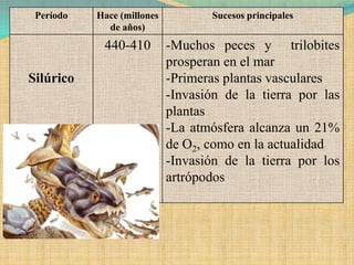 Período   Hace (millones          Sucesos principales
             de años)
            440-410         -Muchos peces y trilobites
                            prosperan en el mar
Silúrico                    -Primeras plantas vasculares
                            -Invasión de la tierra por las
                            plantas
                            -La atmósfera alcanza un 21%
                            de O2, como en la actualidad
                            -Invasión de la tierra por los
                            artrópodos
 