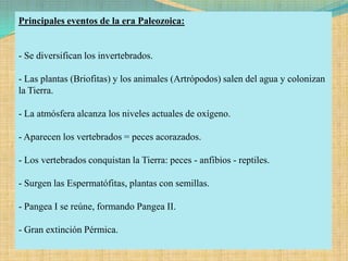 Principales eventos de la era Paleozoica:


- Se diversifican los invertebrados.

- Las plantas (Briofitas) y los animales (Artrópodos) salen del agua y colonizan
la Tierra.

- La atmósfera alcanza los niveles actuales de oxígeno.

- Aparecen los vertebrados = peces acorazados.

- Los vertebrados conquistan la Tierra: peces - anfibios - reptiles.

- Surgen las Espermatófitas, plantas con semillas.

- Pangea I se reúne, formando Pangea II.

- Gran extinción Pérmica.
 