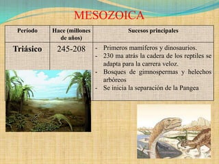 MESOZOICA
 Período   Hace (millones               Sucesos principales
             de años)
Triásico    245-208         - Primeros mamíferos y dinosaurios.
                            - 230 ma atrás la cadera de los reptiles se
                              adapta para la carrera veloz.
                            - Bosques de gimnospermas y helechos
                              arbóreos
                            - Se inicia la separación de la Pangea
 