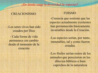 ¿De dónde surge la diversidad de especies?

  CREACIONISMO                            FIJISMO
                               -Creencia que sostiene que las
                              especies actualmente existentes
-Los seres vivos han sido      han permanecido básicamente
    creados por Dios           invariables desde la Creación.

 - Cada forma de vida          -Las especies serían, por tanto,
 permanece sin cambio           inmutables, tal y como fueron
desde el momento de la                    creadas.
       creación
                               -Los fósiles serían restos de los
                               animales que perecieron en los
                                  diluvios bíblicos o bien
                                 caprichos de la naturaleza
 