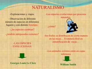 NATURALISMO
    -Exploraciones y viajes.         -Las especies evolucionan por procesos
                                                    naturales.
   - Observación de diferente
número de especies en diferentes
 lugares y con distinto fenotipo.
                                       ¿cómo?
    -¿las especies cambian?
-¿tendrán antepasados comunes?
                                    -los fósiles se distribuyen de cierta manera
                                          en las rocas… Evidencia fósil en
                                              estratificación de rocas…
       -LAS ESPECIES
       EVOLUCIONAN
                                      -Los animales extintos están en capas
                                                   inferiores


     Georges Louis Le Clerc
                                                    William Smith
 