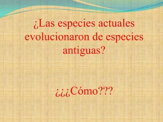 ¿Las especies actuales
evolucionaron de especies
        antiguas?


      ¿¿¿Cómo???
 