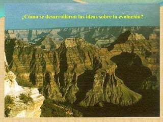 ¿Cómo se desarrollaron las ideas sobre la evolución?
 
