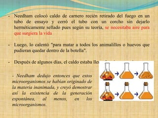 - Needham colocó caldo de carnero recién retirado del fuego en un
  tubo de ensayo y cerró el tubo con un corcho sin dejarlo
  herméticamente sellado pues según su teoría, se necesitaba aire para
  que surgiera la vida

- Luego, lo calentó "para matar a todos los animalillos o huevos que
  pudieran quedar dentro de la botella".

- Después de algunos días, el caldo estaba lleno de microorganismos.

 - Needham dedujo entonces que estos
 microorganismos se habían originado de
 la materia inanimada, y creyó demostrar
 así la existencia de la generación
 espontánea,    al   menos,     en   los
 microorganismos.
 
