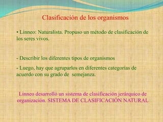 Clasificación de los organismos

• Linneo: Naturalista. Propuso un método de clasificación de
los seres vivos.


- Describir los diferentes tipos de organismos
- Luego, hay que agruparlos en diferentes categorías de
acuerdo con su grado de semejanza.


 Linneo desarrolló un sistema de clasificación jerárquico de
organización. SISTEMA DE CLASIFICACIÓN NATURAL
 
