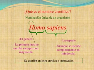 ¿Qué es el nombre científico?
          Nominación única de un organismo


             Homo sapiens
    -El género.                       - La especie
- La primera letra se             - Siempre se escribe
escribe siempre con                completamente en
     mayúscula                         minúscula

         Se escribe en letra cursiva o subrayado.
 