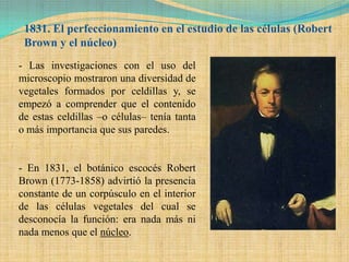 1831. El perfeccionamiento en el estudio de las células (Robert
 Brown y el núcleo)
- Las investigaciones con el uso del
microscopio mostraron una diversidad de
vegetales formados por celdillas y, se
empezó a comprender que el contenido
de estas celdillas –o células– tenía tanta
o más importancia que sus paredes.


- En 1831, el botánico escocés Robert
Brown (1773-1858) advirtió la presencia
constante de un corpúsculo en el interior
de las células vegetales del cual se
desconocía la función: era nada más ni
nada menos que el núcleo.
 