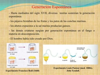 Generación Espontánea
   - Hasta mediados del siglo XVII, diversas teorías sostenían la generación
   espontánea:
   - los pájaros brotaban de las frutas y los patos de las conchas marinas.
   - los abetos expuestos a la sal marina producían gansos.
   - las demás criaturas surgían por generación espontánea en el fango o
   materia en descomposición.
   - El hombre había sido creado por Dios.




                                             Experimento Louis Pasteur (med. 1800s).
Experimento Francisco Redi (1668)                        John Tyndall.
 