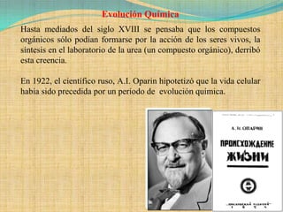 Evolución Química
Hasta mediados del siglo XVIII se pensaba que los compuestos
orgánicos sólo podían formarse por la acción de los seres vivos, la
síntesis en el laboratorio de la urea (un compuesto orgánico), derribó
esta creencia.

En 1922, el científico ruso, A.I. Oparin hipotetizó que la vida celular
había sido precedida por un período de evolución química.
 
