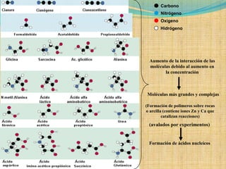 Carbono
        Nitrógeno
        Oxigeno
        Hidrógeno




  Aumento de la interacción de las
  moléculas debido al aumento en
         la concentración



 Moléculas más grandes y complejas

(Formación de polimeros sobre rocas
o arcilla (contiene iones Zn y Ca que
         catalizan reacciones)
  (avalados por experimentos)


  Formación de ácidos nucleícos
 
