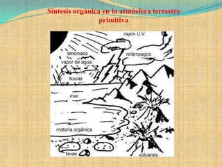 Síntesis orgánica en la atmósfera terrestre
                 primitiva
 