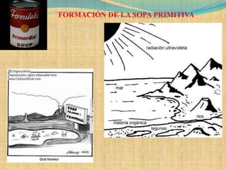FORMACIÓN DE LA SOPA PRIMITIVA
 
