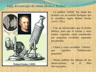 1665. El concepto de célula (Robert Hooke)
                               - La palabra "célula" fue usada por
                               primera vez en sentido biológico por
                               el científico inglés Robert Hooke
                               (1635-1701).

                               - Con un microscopio que él mismo
                               fabricó, notó que el corcho y otros
                               tejidos vegetales están constituidos
                               por pequeñas cavidades separadas
                               por paredes.

                               - Llamó a estas cavidades "células",
                               que     significa     "habitaciones
                               pequeñas".

                               - Hooke publicó los dibujos de sus
                               observaciones    en     el    libro
                               Micrographia.
 