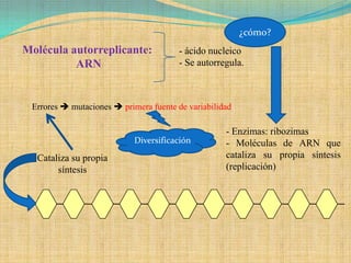 ¿cómo?
Molécula autorreplicante:               - ácido nucleico
          ARN                           - Se autorregula.



 Errores  mutaciones  primera fuente de variabilidad

                                                    - Enzimas: ribozimas
                            Diversificación         - Moléculas de ARN que
  Cataliza su propia                                cataliza su propia síntesis
       síntesis                                     (replicación)
 