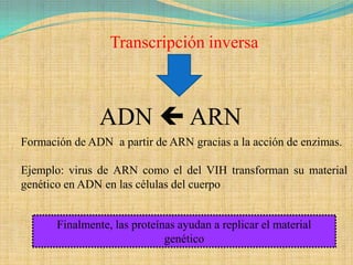 Transcripción inversa



                ADN  ARN
Formación de ADN a partir de ARN gracias a la acción de enzimas.

Ejemplo: virus de ARN como el del VIH transforman su material
genético en ADN en las células del cuerpo


       Finalmente, las proteínas ayudan a replicar el material
                              genético
 