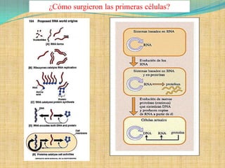 ¿Cómo surgieron las primeras células?
 