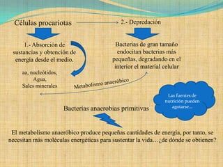 Células procariotas                       2.- Depredación


     1.- Absorción de                     Bacterias de gran tamaño
 sustancias y obtención de                 endocitan bacterias más
  energía desde el medio.                pequeñas, degradando en el
                                          interior el material celular
     aa, nucleótidos,
          Agua,
     Sales minerales
                                                                Las fuentes de
                                                               nutrición pueden
                                                                  agotarse…
                        Bacterias anaerobias primitivas


 El metabolismo anaeróbico produce pequeñas cantidades de energía, por tanto, se
necesitan más moléculas energéticas para sustentar la vida…¿de dónde se obtienen?
 