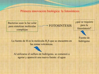 Primera innovación biológica: la fotosíntesis


Bacterias usan la luz solar                                ¿qué se requiere
para sintetizar moléculas            FOTOSINTESIS               para la
        complejas                                            fotosíntesis?


                                                             Fuente de
   La fuente de H es la molécula H2S que se encuentra en     hidrógeno
                   las zonas volcánicas.


     Al utilizarse el sulfuro de hidrógeno, se comenzó a
         agotar y apareció una nueva fuente: el agua
 