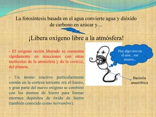 La fotosíntesis basada en el agua convierte agua y dióxido
                    de carbono en azúcar y…

           ¡Libera oxígeno libre a la atmósfera!
- El oxígeno recién liberado se consumía            Hay algo raro en
rápidamente en reacciones con otras                   el aire… me
                                                        muero…
moléculas de la atmósfera y de la corteza,
del planeta.

- Un átomo reactivo particularmente                          Bacteria
común en la corteza terrestre era el hierro,                anaeróbica
y gran parte del nuevo oxígeno se combinó
con los átomos de hierro para formar
enormes depósitos de óxido de hierro
(también conocido como herrumbre).
 