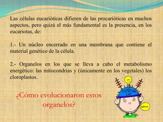 Las células eucarióticas difieren de las procarióticas en muchos
aspectos, pero quizá el más fundamental es la presencia, en los
eucariotas, de:

1.- Un núcleo encerrado en una membrana que contiene el
material genético de la célula.

2.- Organelos en los que se lleva a cabo el metabolismo
energético: las mitocondrias y (únicamente en los vegetales) los
cloroplastos.


  ¿Cómo evolucionaron estos
         organelos?
 