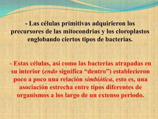 - Las células primitivas adquirieron los
precursores de las mitocondrias y los cloroplastos
      englobando ciertos tipos de bacterias.


- Estas células, así como las bacterias atrapadas en
 su interior (endo significa “dentro”) establecieron
  poco a poco una relación simbiótica, esto es, una
    asociación estrecha entre tipos diferentes de
   organismos a los largo de un extenso periodo.
 