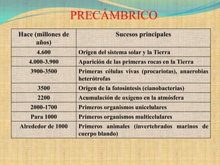 PRECÁMBRICO
Hace (millones de                  Sucesos principales
      años)
      4.600          Origen del sistema solar y la Tierra
   4.000-3.900       Aparición de las primeras rocas en la Tierra
    3900-3500        Primeras células vivas (procariotas), anaerobias
                     heterótrofas
      3500           Origen de la fotosíntesis (cianobacterias)
      2200           Acumulación de oxígeno en la atmósfera
    2000-1700        Primeros organismos unicelulares
    Para 1000        Primeros organismos multicelulares
Alrededor de 1000    Primeros animales (invertebrados marinos de
                     cuerpo blando)
 